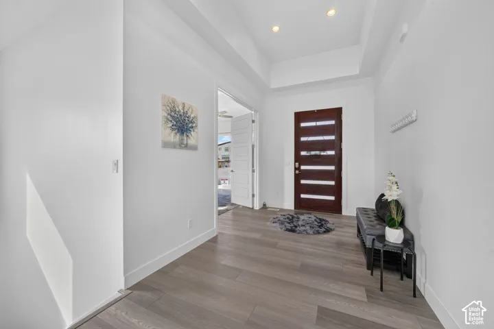 Entryway featuring wood-finish flooring, tray ceiling with recessed lighting, and a dark-toned front door with horizontal glass panels
