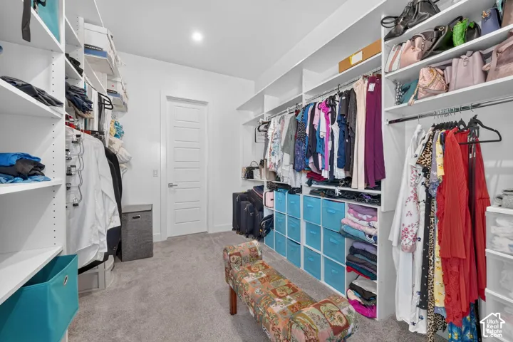 Walk-in closet featuring extensive built-in white shelving, integrated hanging rods, and neutral carpeting