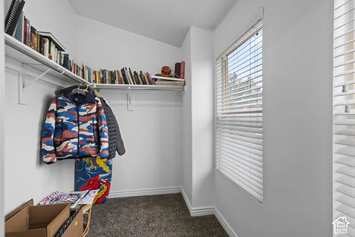 Closet space featuring neutral carpeting, white walls, built-in shelving, and a horizontal window with adjustable blinds