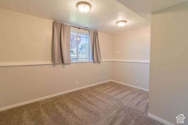 Neutral-toned interior space featuring textured wall-to-wall carpeting, crisp white chair rail molding, and dual flush-mount ceiling light fixtures