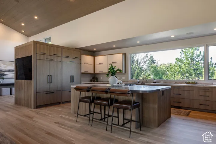 3941 S Mount Olympus Way, Salt Lake City, Utah 84124