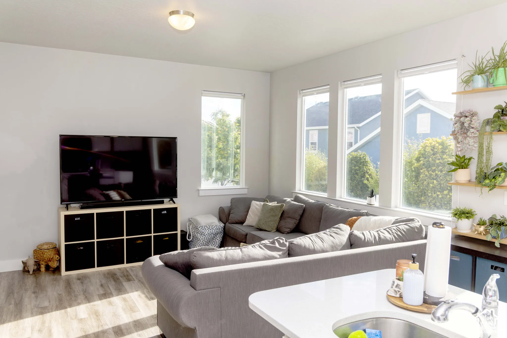 Bright, light-filled living room with expansive windows letting in light, LVP flooring.