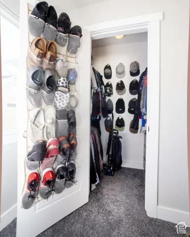 Walk-in closet featuring wall-mounted garment rods, integrated shelving units, and plush wall-to-wall carpeting