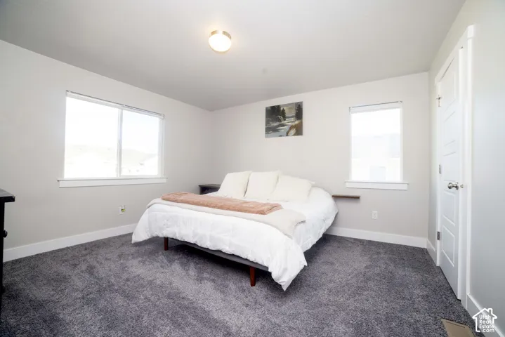 Neutral-toned room featuring plush wall-to-wall carpeting, two dual-pane windows, and a multi-panel interior door