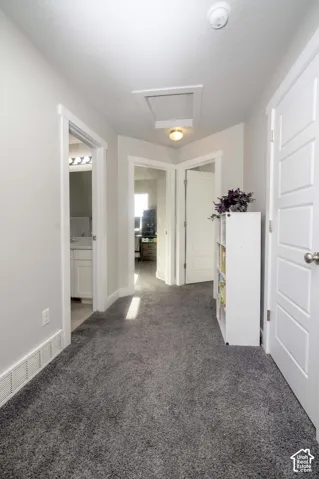 Hallway featuring neutral-toned walls, plush carpeting, multiple interior doors with a flush-mount ceiling light fixture