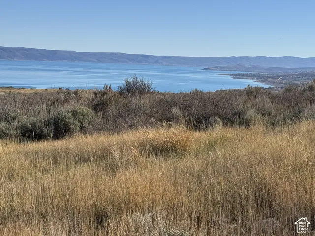 Expansive parcel featuring native grasses, arid landscape vegetation, and water frontage
