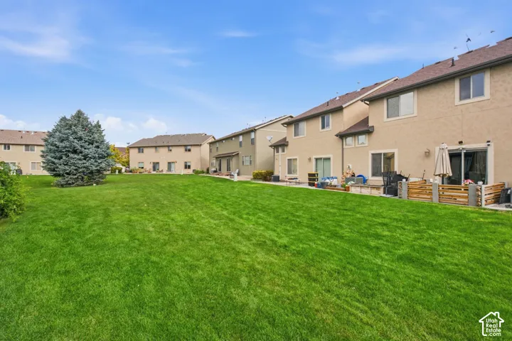 Expansive open green space featuring a large lawn, mature evergreen tree, and stucco exterior finish