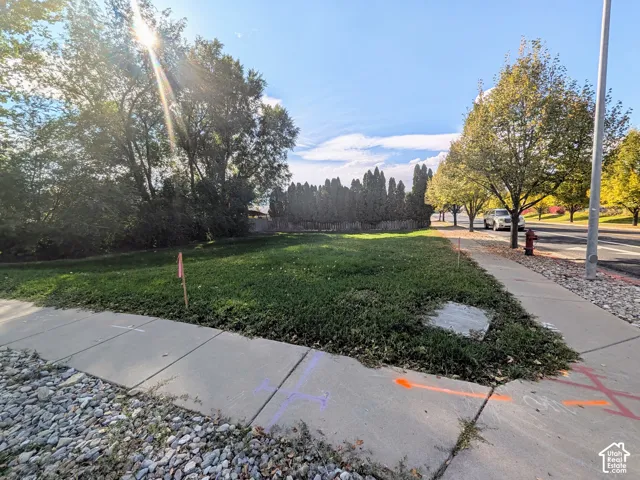 Corner lot featuring a grass lawn, mature trees, and an established evergreen hedge