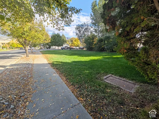 Expansive grass lawn featuring mature deciduous and evergreen trees, bordered by a concrete sidewalk and gravel landscaping