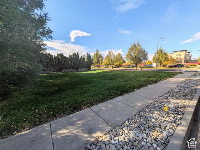 Open lot featuring expansive lawn, concrete sidewalk, decorative stone ground cover, and mature trees