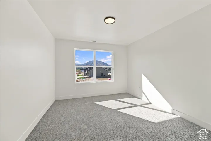 Neutral-toned carpeted flooring, white walls, flush-mount ceiling lighting, and a double-pane window framing a mountainous landscape