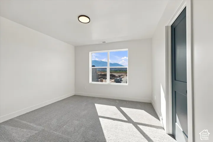 Neutral-toned interior room featuring wall-to-wall carpeting, a multi-pane window with mountain backdrop, flush-mount lighting, and a dark-finish solid-core door