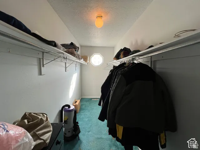 Walk-in storage space featuring dual-sided metal shelving and an octagonal glass block accent window