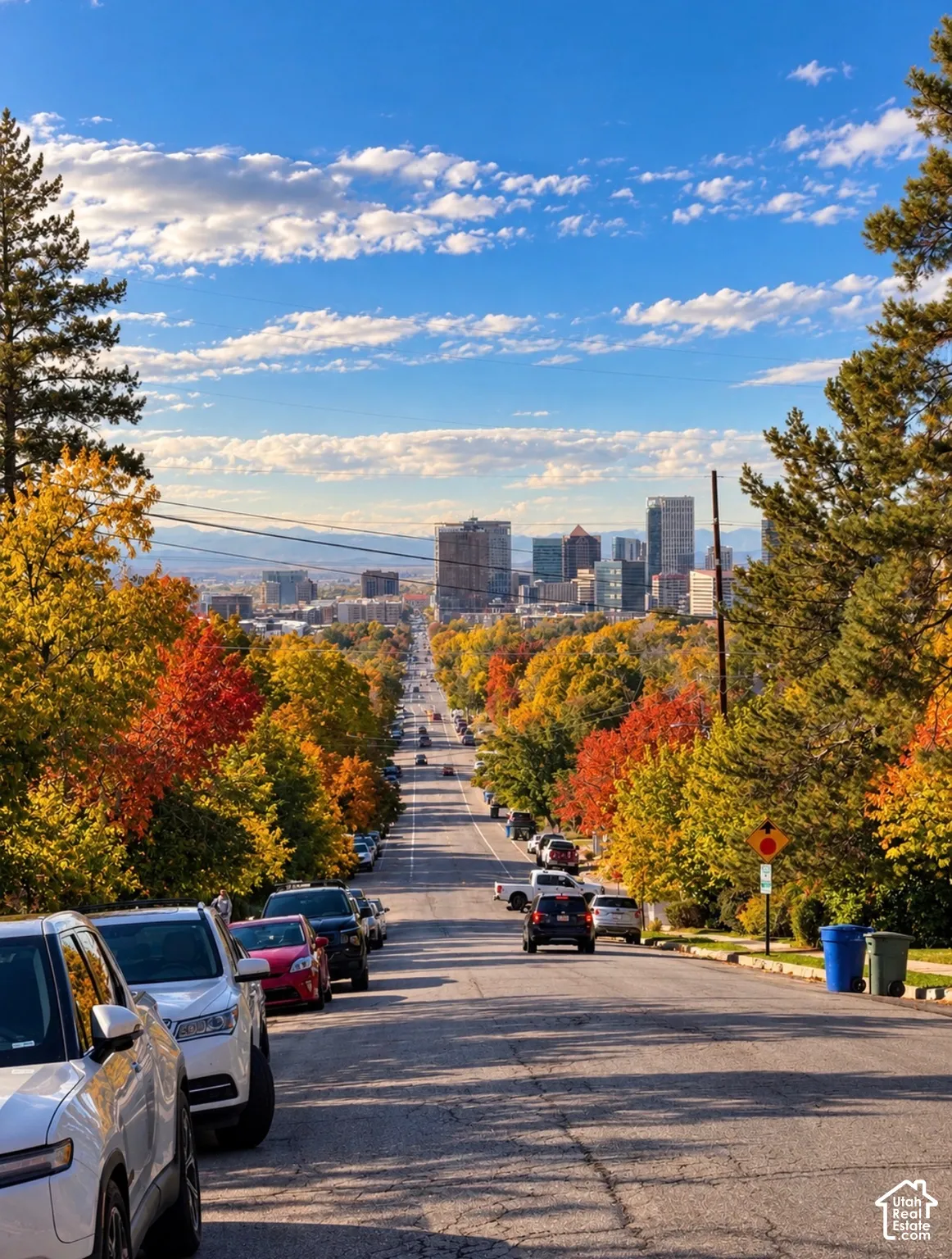 Urban skyline perspective framed by mature deciduous trees showcasing seasonal foliage