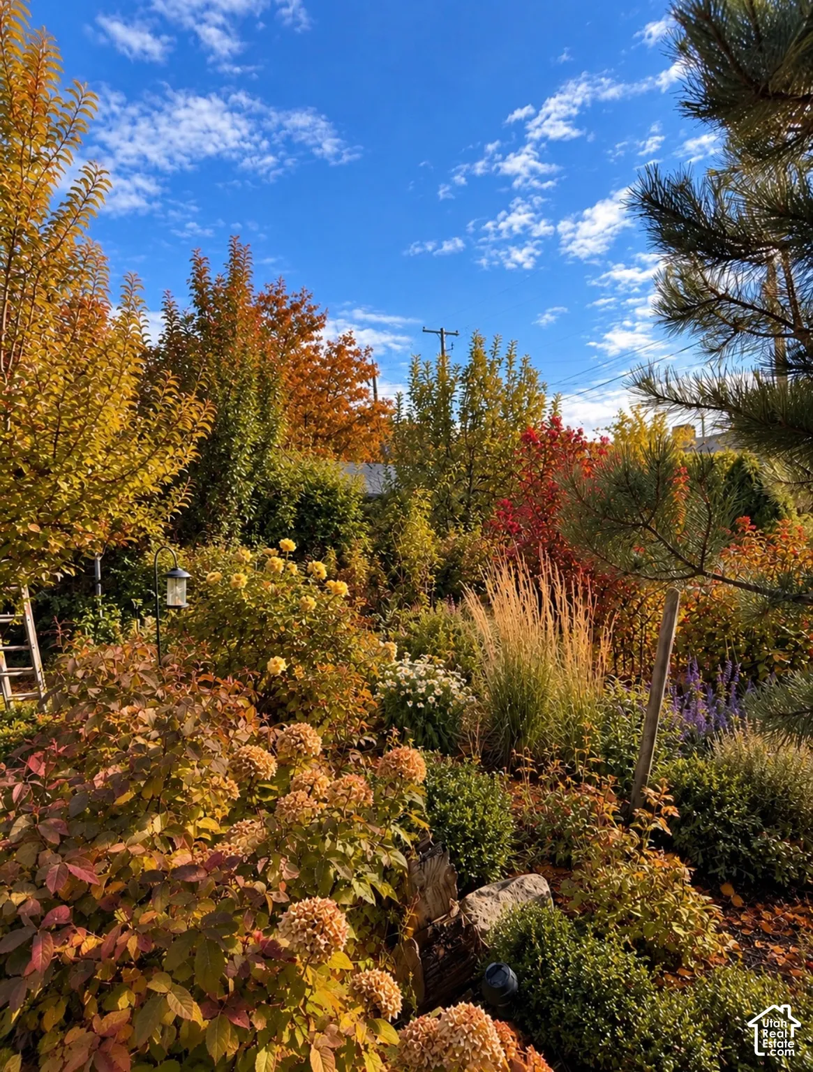 Landscaped garden featuring mature deciduous trees, ornamental grasses, varied shrubbery, and integrated stone elements