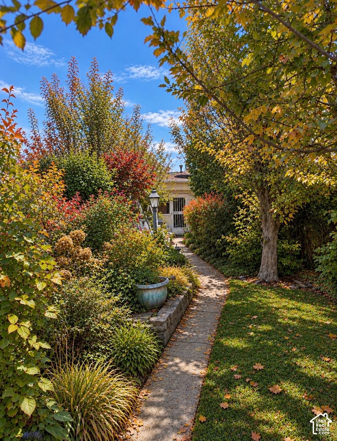 Landscaped garden featuring mature trees, diverse shrubs, stone retaining wall, and a concrete path