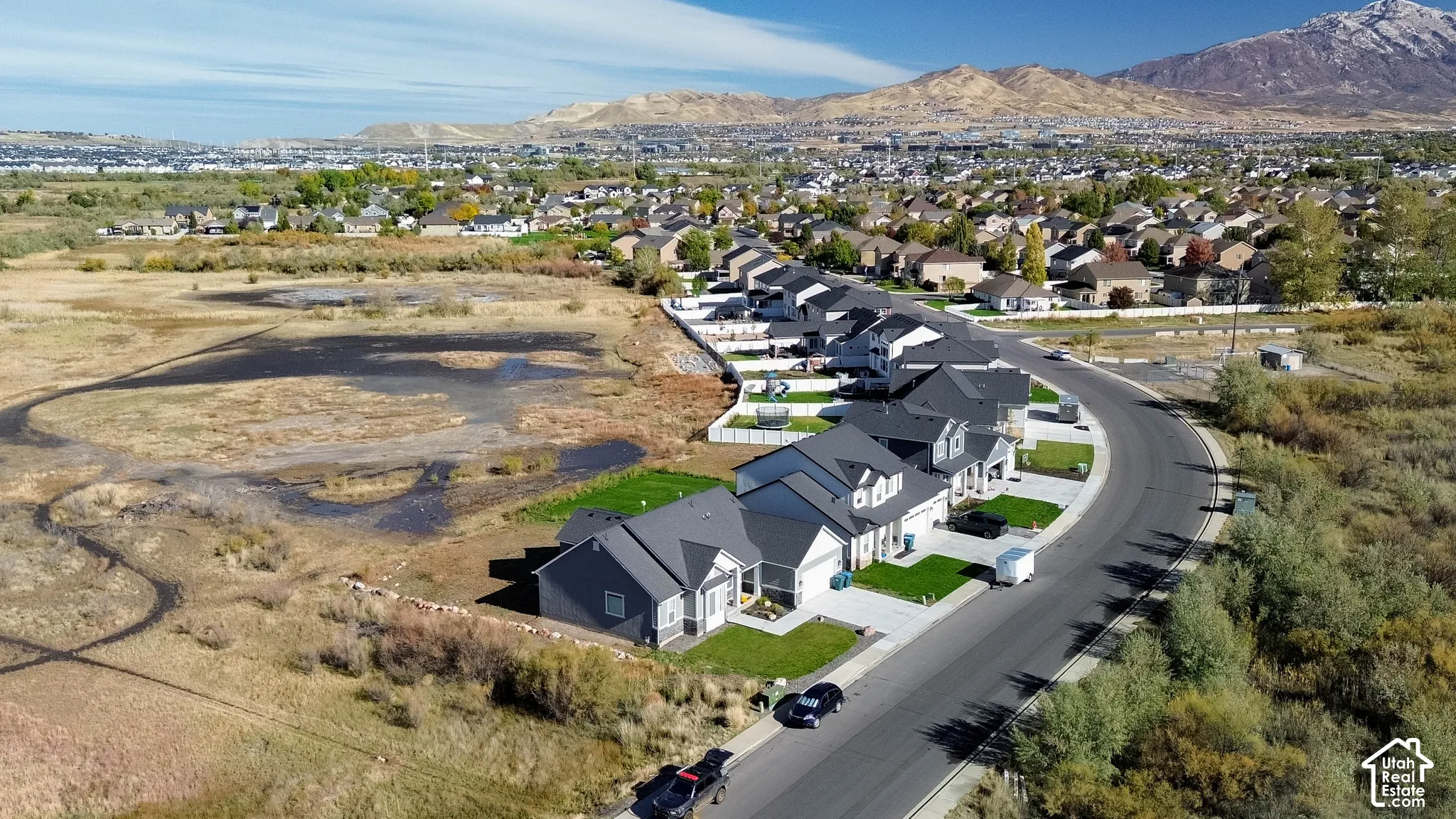 Curved street with modern single-family homes, dark-toned roofs, and light-colored facades