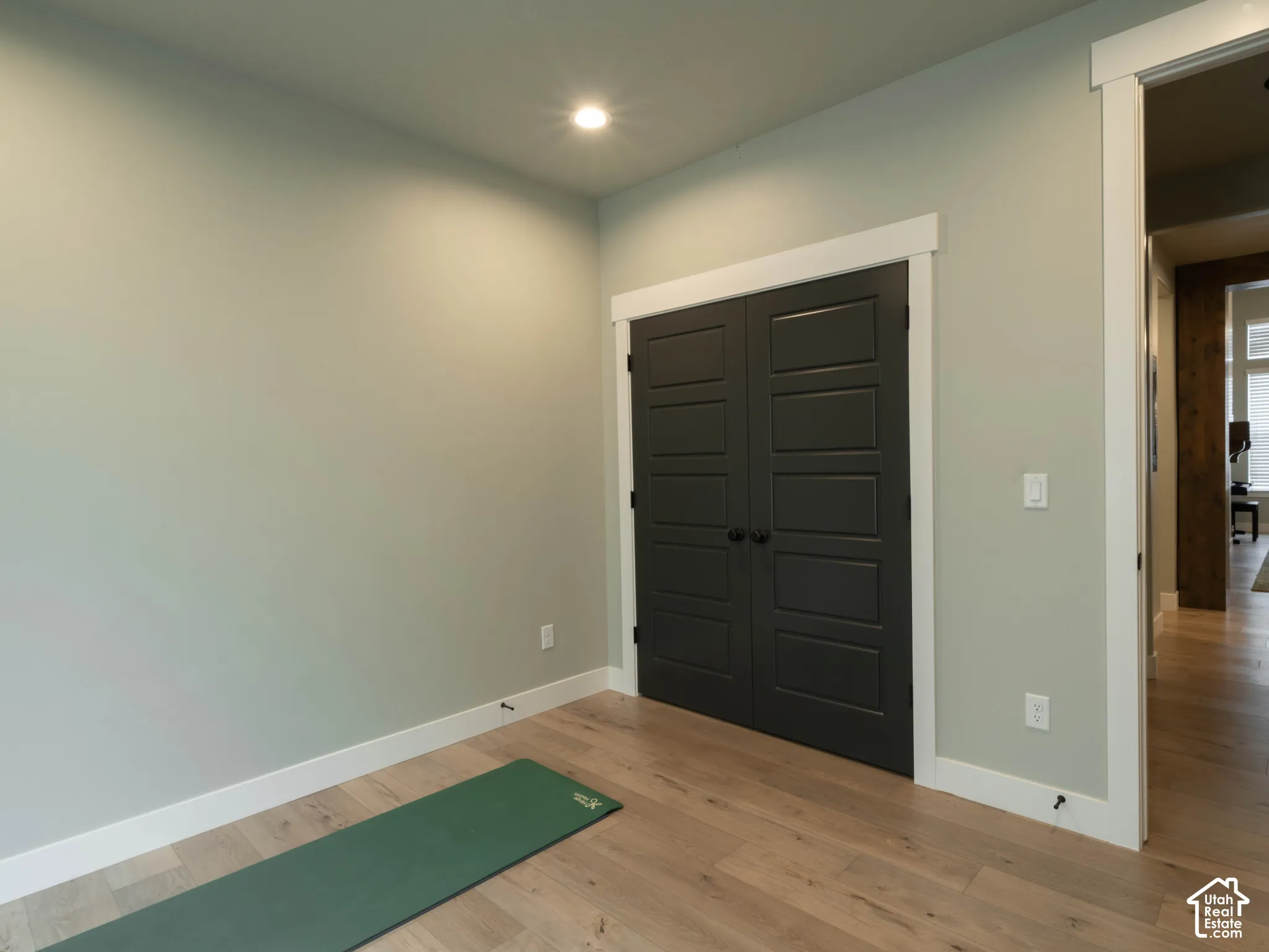 Wood-finish flooring, recessed ceiling lighting, dark paneled double doors, and wide white trim
