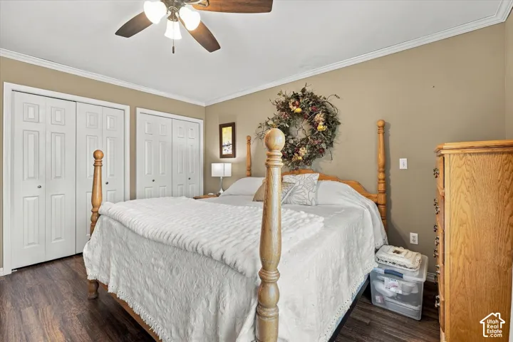 Room featuring wood-finish flooring, dual bi-fold closet doors, crown molding, and a ceiling fan with integrated lighting