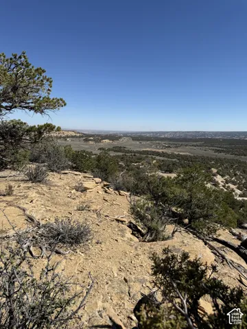 Expansive high-desert landscape featuring exposed rock formations and native juniper trees