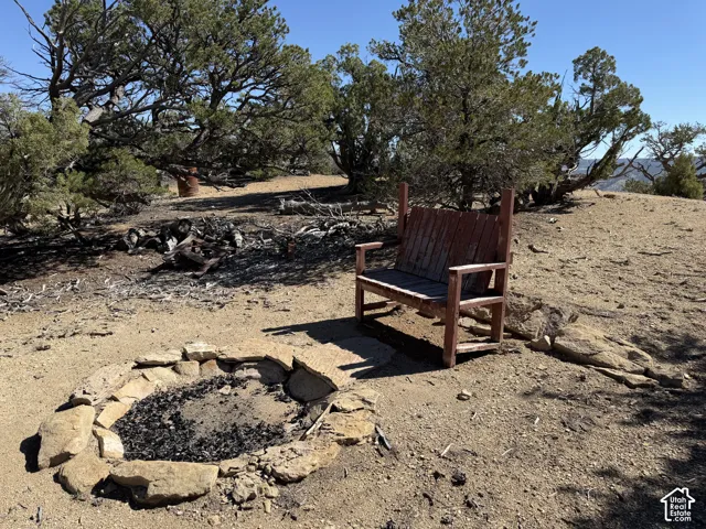 Natural stone fire pit surrounded by mature juniper trees on an open lot