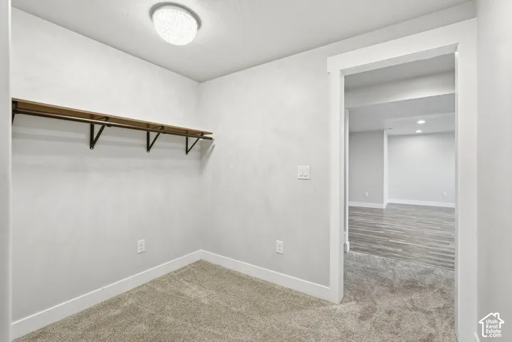 Neutral-toned storage area featuring wall-to-wall carpeting, an open wood-finish shelving unit, and a flush-mount dome light fixture