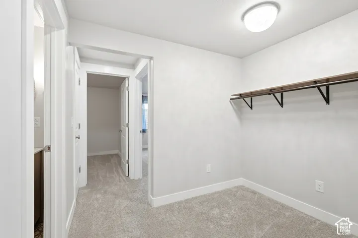 Neutral-toned carpeting, flush-mount dome lighting, and built-in shelving with hanging rod