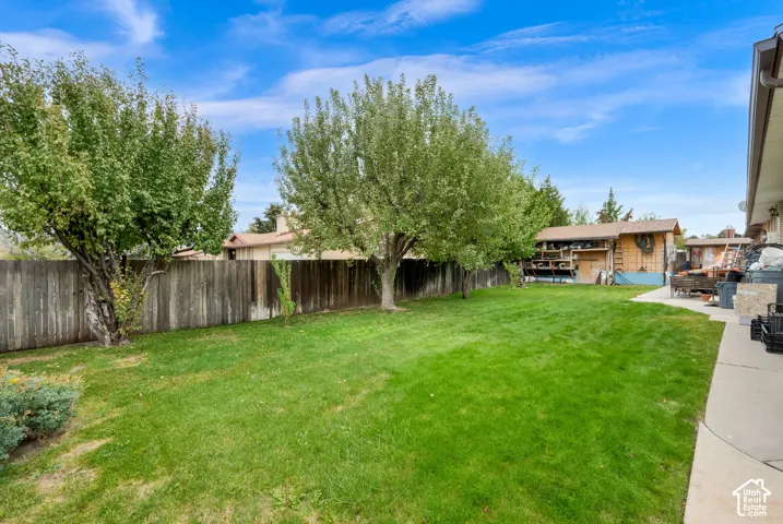 Expansive backyard featuring a manicured lawn, mature trees, wood privacy fencing, and a concrete patio