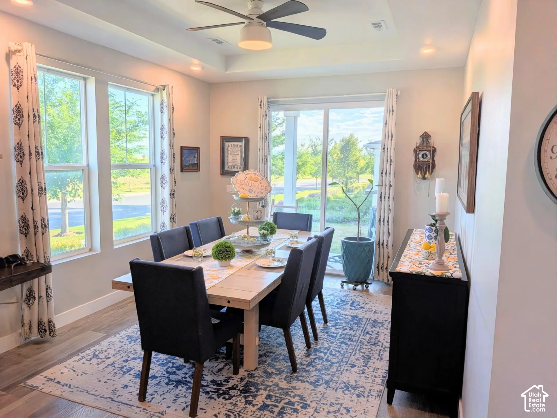 Tray ceiling with central paddle fan, wood-finish flooring, and sliding glass door