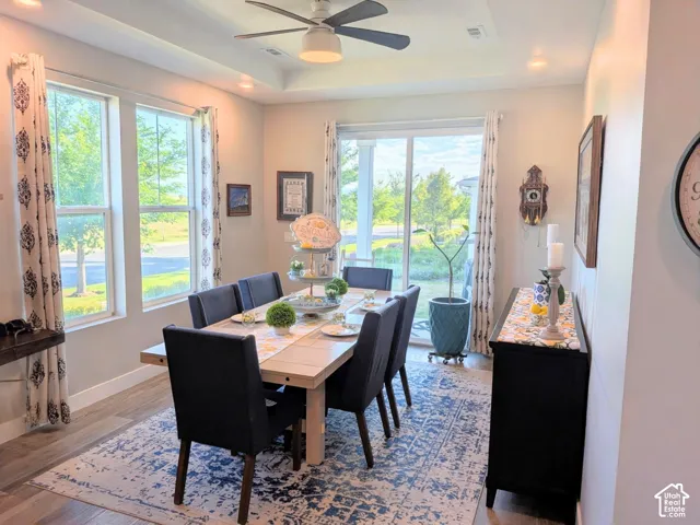 Tray ceiling with central paddle fan, wood-finish flooring, and sliding glass door