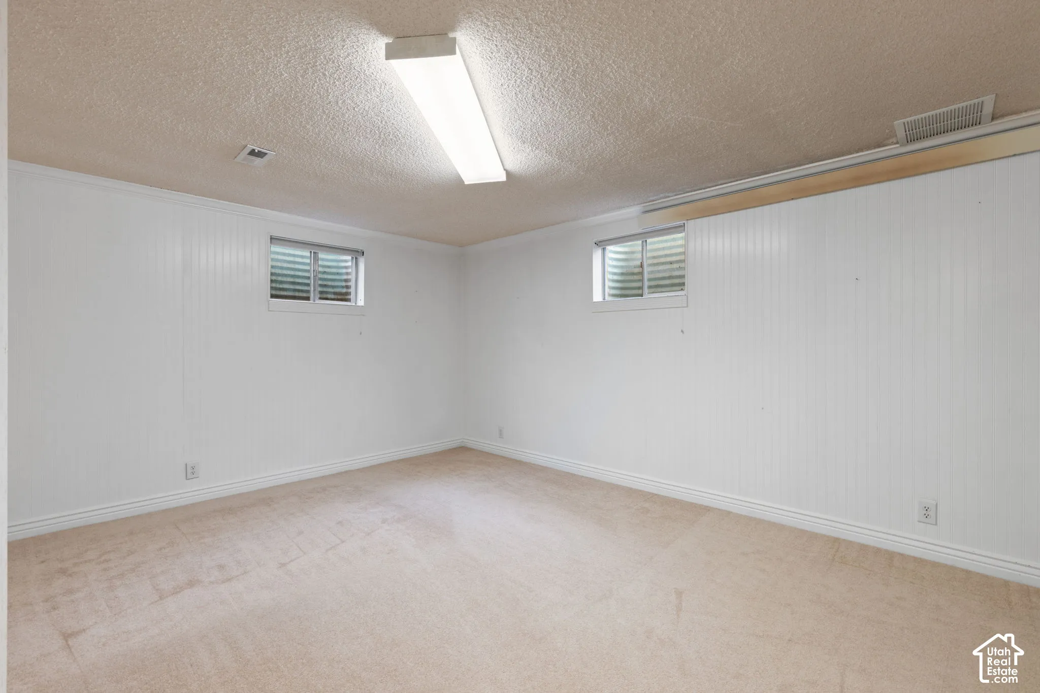 Interior space featuring white vertical paneling, neutral carpeting, two recessed windows with window wells, and a ceiling-mounted linear light fixture