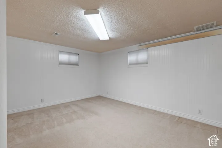 Textured ceiling, wall-to-wall carpeting, beadboard paneling, and two inset windows