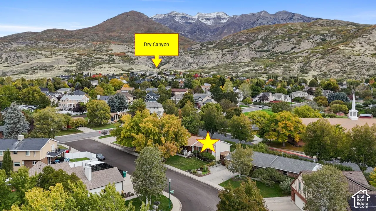 Aerial perspective