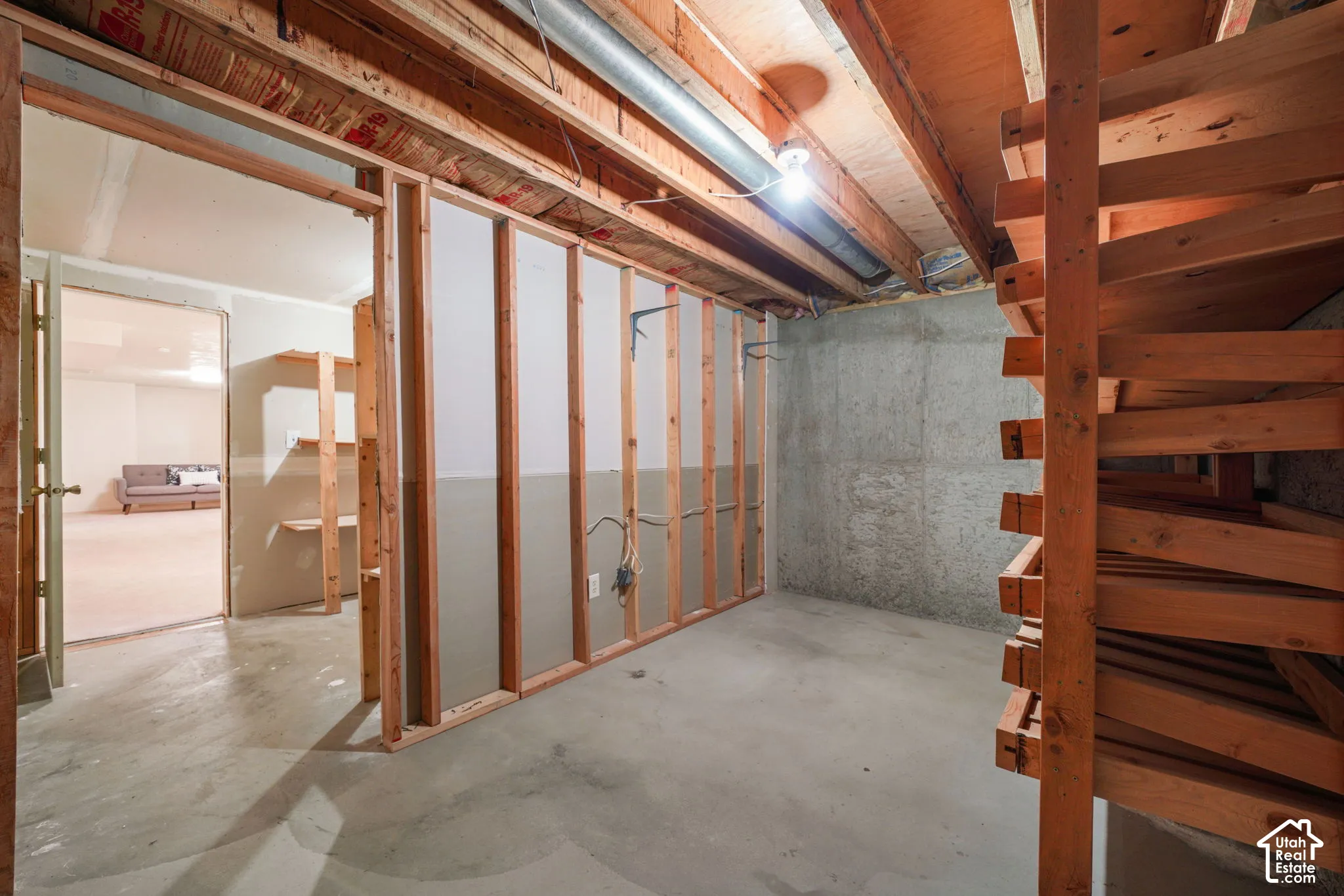 Unfinished storage space with canned food rolling shelves
