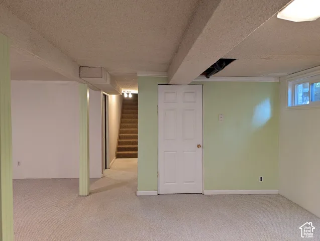 Finished lower level featuring neutral carpeting, exposed structural beams, a six-panel door, and a rectangular egress window