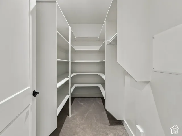 Walk-in storage area featuring custom white built-in shelving, hanging rods, and neutral carpeting