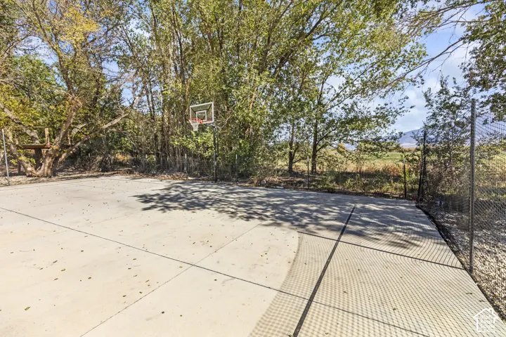 Concrete sports court featuring a basketball hoop, chain-link fencing, and mature perimeter trees