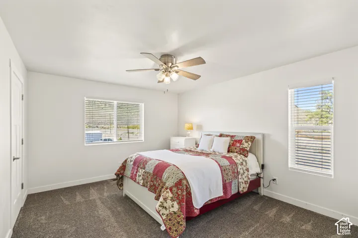 Neutral-toned carpeting, multi-pane windows with horizontal blinds, and a multi-blade ceiling fan with integrated lighting