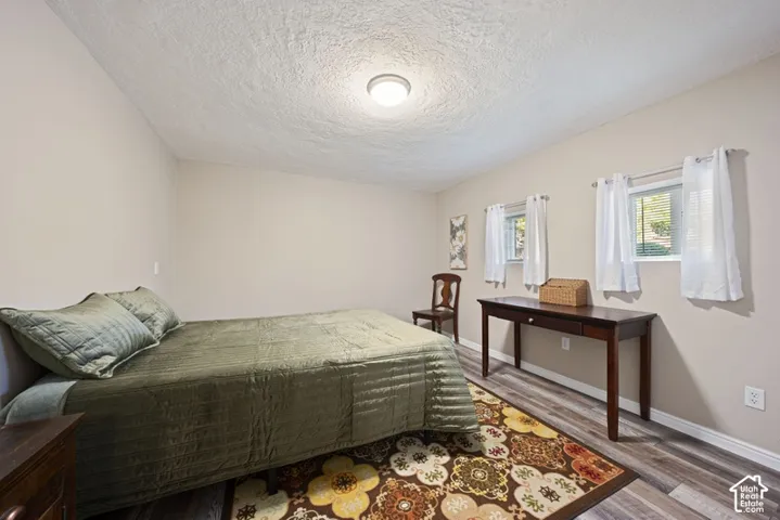 Neutral-toned interior room featuring wood-finish flooring, dual windows with wall-mounted hardware, and a flush-mount ceiling light fixture