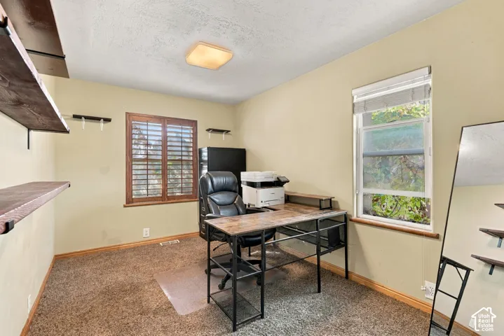 Room featuring neutral-toned walls, carpeting, natural wood-finish window shutters, integrated wood-finish shelving, and a square flush-mount ceiling light fixture