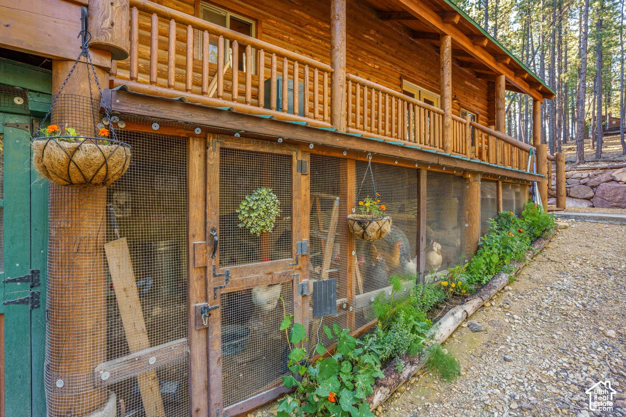 Log-constructed exterior featuring a multi-level wood railing, expansive wire-mesh enclosure, and gravel grounds