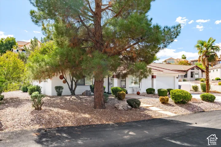 Exterior facade featuring a tile roof, light-toned stucco siding, attached two-car garage, mature pine tree, and xeriscaped front yard with stone path