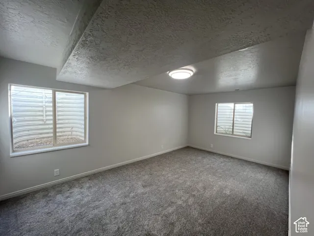 Interior space featuring neutral wall tones, gray carpeting, dual sliding windows, and a flush-mount ceiling light