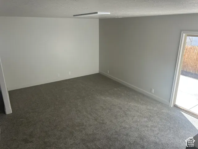 Neutral-toned interior space featuring wall-to-wall carpeting, grey-painted walls, an integrated rectangular ceiling fixture, and a sliding glass door providing exterior access