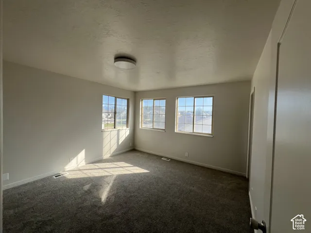 Neutral-toned room featuring plush wall-to-wall carpeting, three multi-pane windows, and a circular flush-mount ceiling light fixture