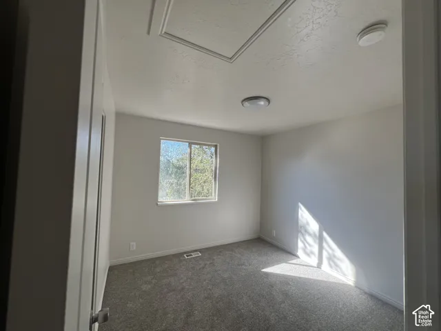 Neutral-toned room featuring carpeting, a sliding window with exterior greenery, and a ceiling-mounted flush light fixture