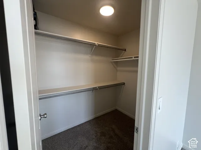 Walk-in closet featuring multi-level metal shelving, flush-mount ceiling lighting, and carpeted flooring