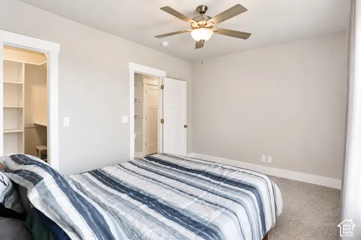 Room featuring neutral wall tones, ceiling fan with integrated lighting, carpeted flooring, and walk-in closet with built-in shelving