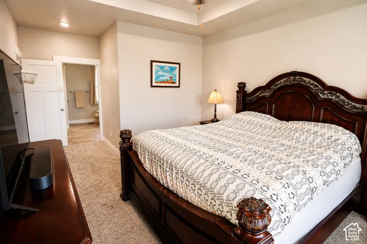 Tray ceiling, neutral wall tones, and carpeted flooring