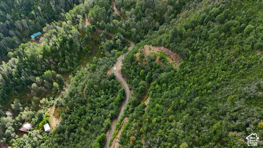 Aerial perspective of expansive acreage featuring dense coniferous forest, sloping topography, and a paved winding road